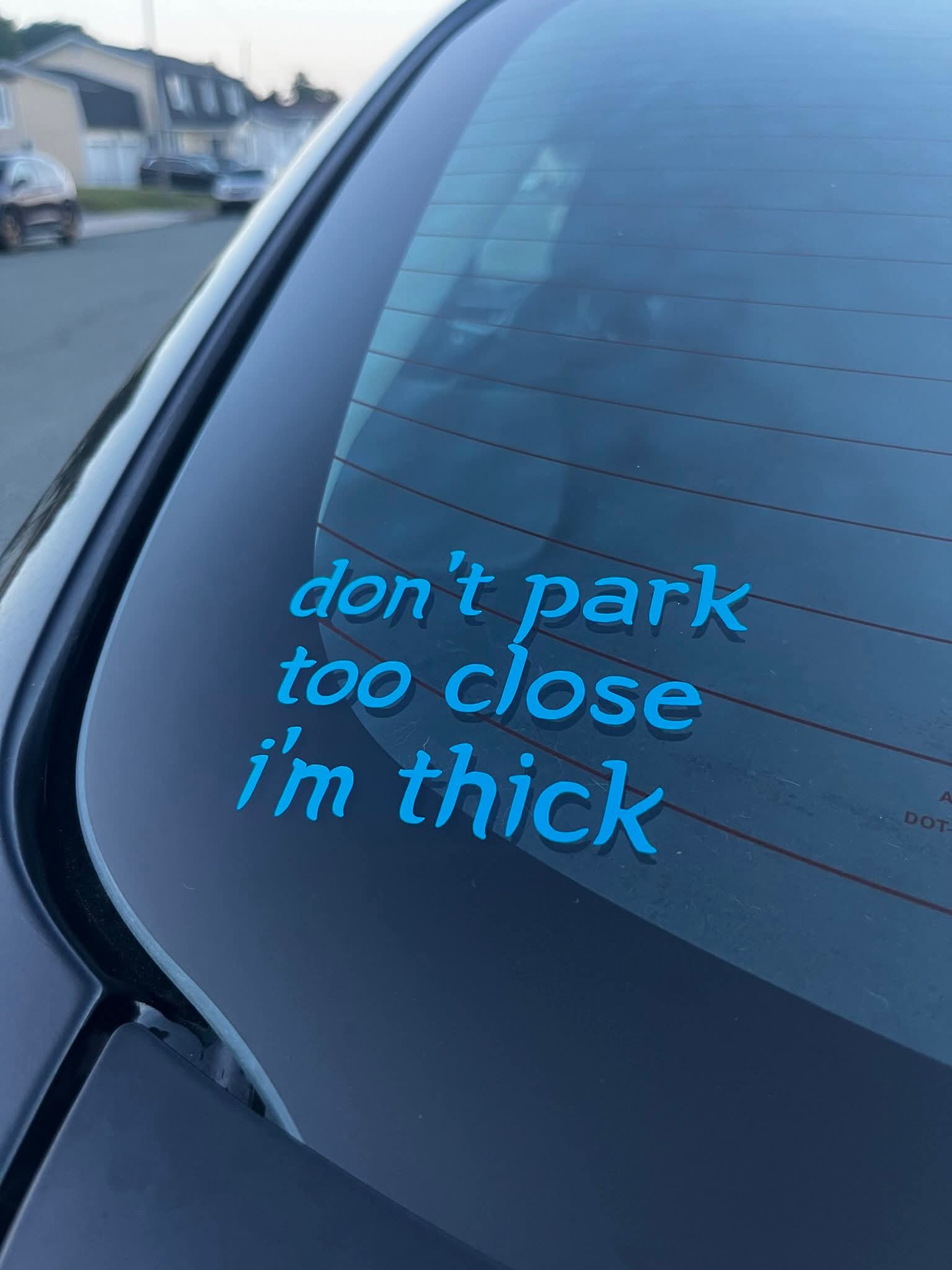 Blue Decal